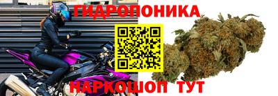 дживик Донецк