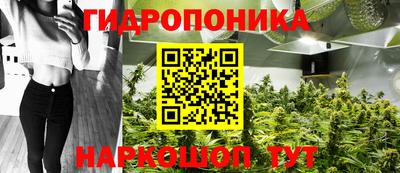 спиды Донской
