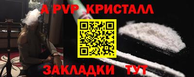 спиды Донской