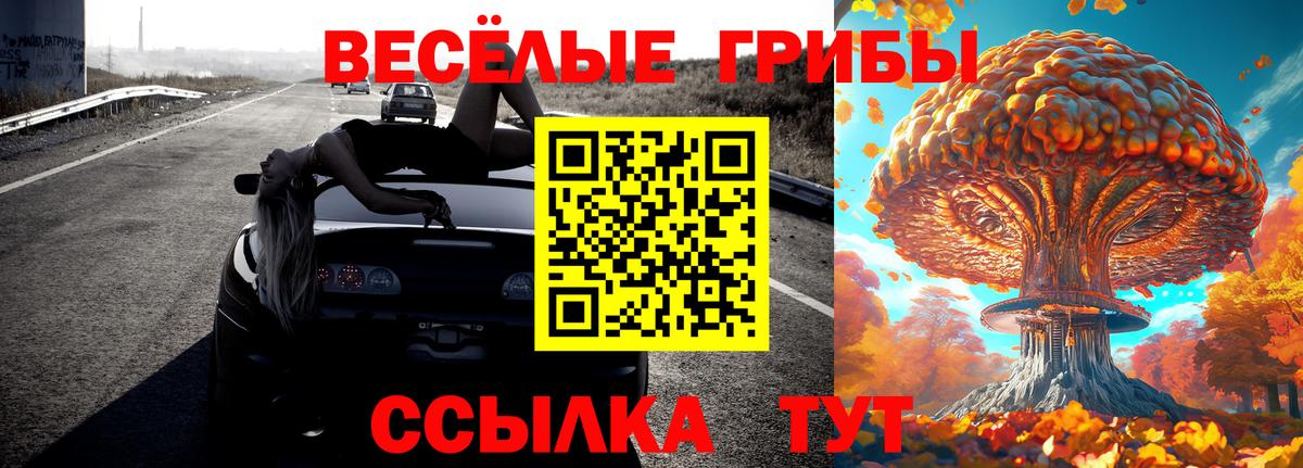 Галлюциногенные грибы Cubensis Владивосток